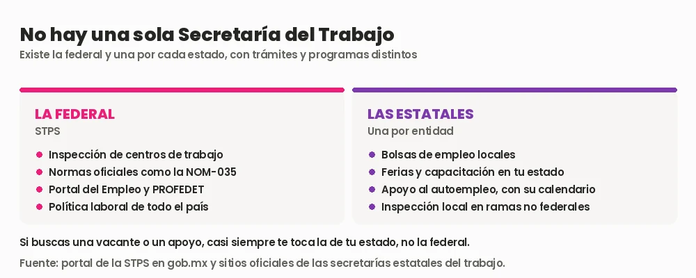Comparación entre la Secretaría del Trabajo federal de México y las secretarías estatales: qué resuelve cada una en inspección, normas, bolsas de empleo y apoyos