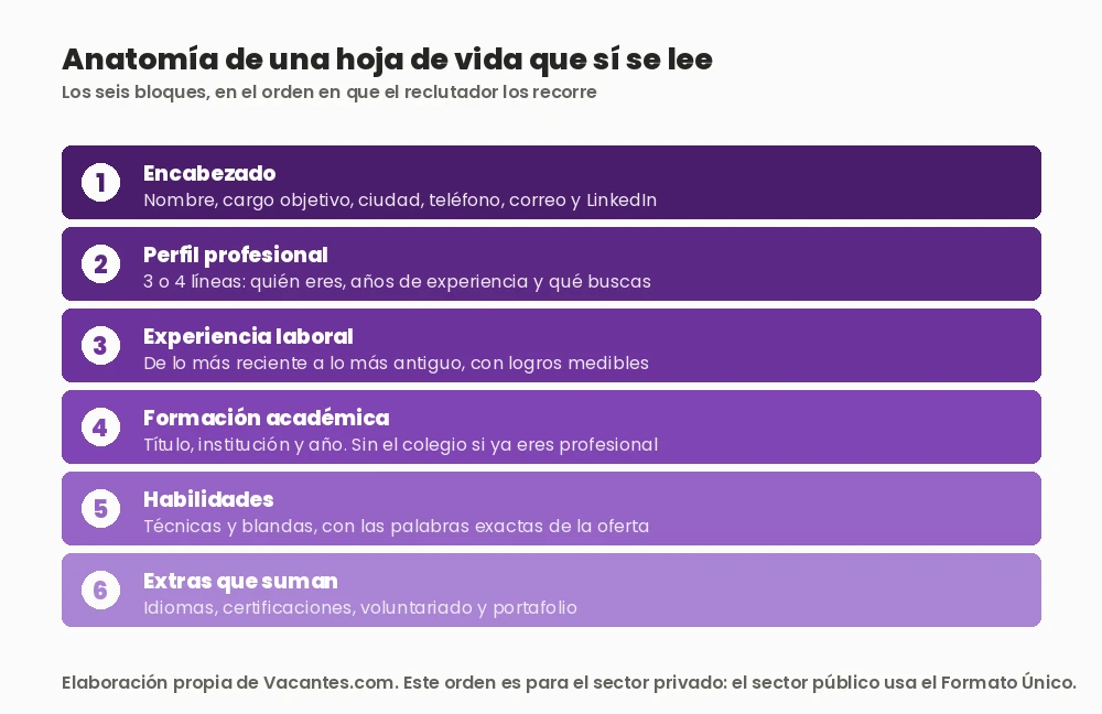 Diagrama con los seis bloques de una hoja de vida en orden: encabezado, perfil profesional, experiencia laboral, formación académica, habilidades y extras