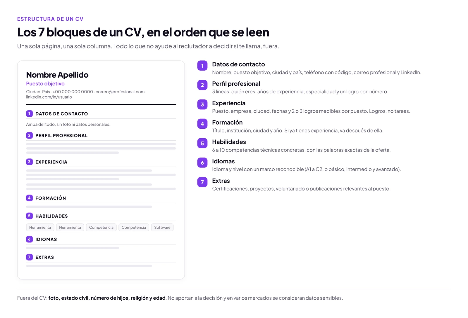 Esquema de un CV de una página con sus siete bloques numerados en orden: datos de contacto, perfil profesional, experiencia, formación, habilidades, idiomas y extras.