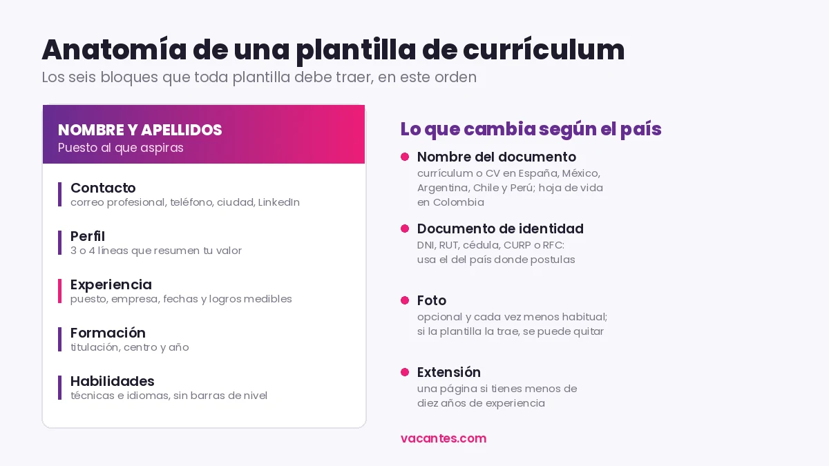 Diagrama de los seis bloques de una plantilla de currículum y de los campos que cambian según el país